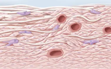 SIS integration with tissue