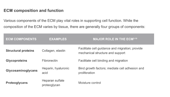 ECM Function Chart